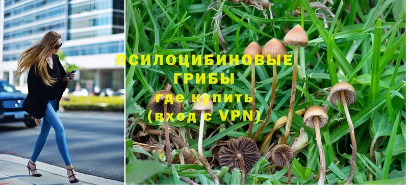 мориарти состав  Нягань  Галлюциногенные грибы Magic Shrooms 